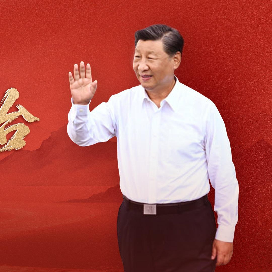 文章模仿向佐动作