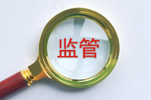 谢娜还是太超前了