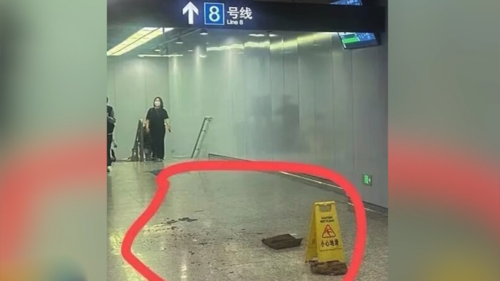 三级片电影整战犯