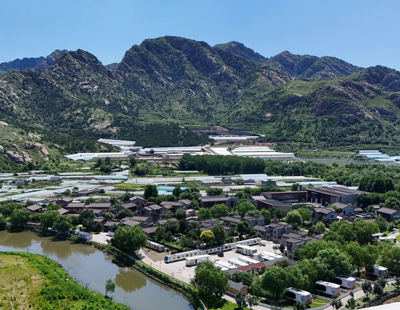 小胖又在指导樊振东