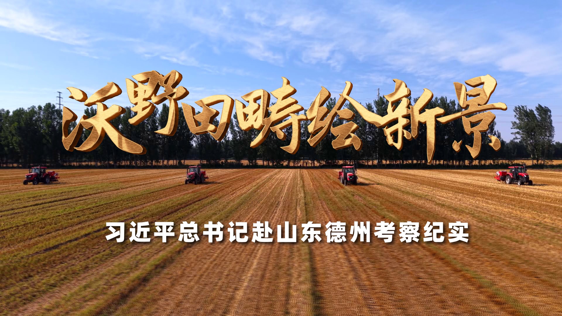 徐艺真上综艺