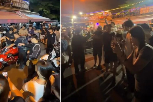 哀牢山发现全球仅千只的鸟