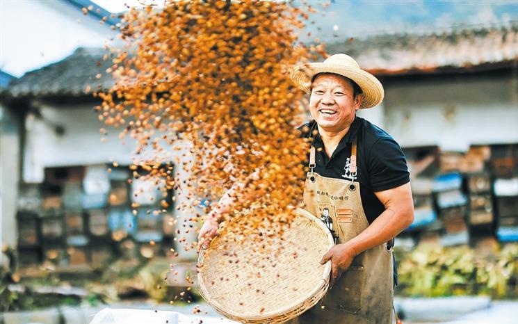 委内瑞拉为地震遇难者举行7天全国哀悼