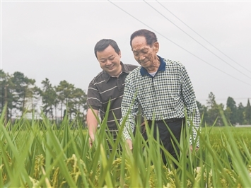 时政微观察丨“窑洞之问”，我们这样回答！