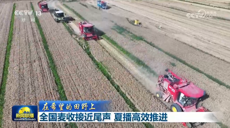 高清在线播放