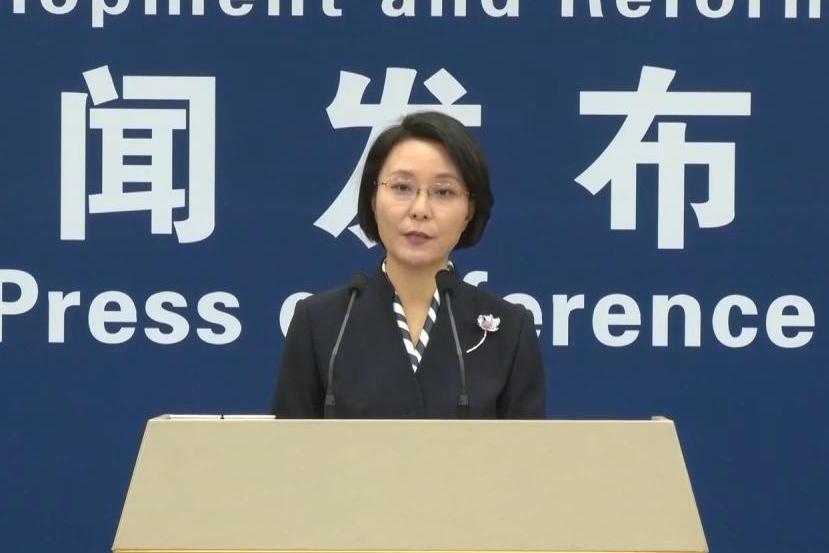 张晚意演技